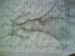DSC03164.JPG