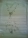DSC03177.JPG